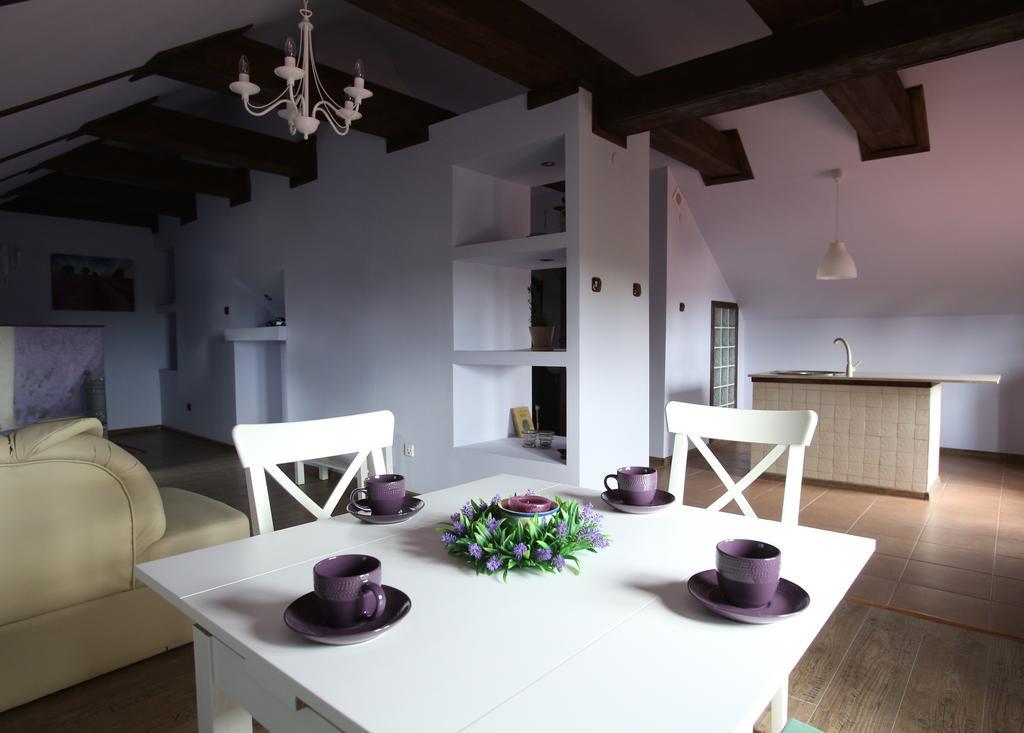 Nowy Rynek 10 Apartment Plock Exterior photo